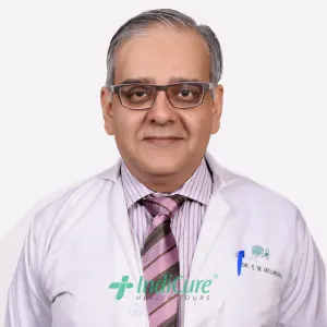 Dr Aniel Malhotra